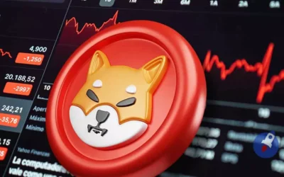 Le Shiba Inu dans la publicité : Des apparitions mémorables
