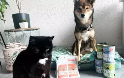 Combien dure un sac de 13 kilo de croquette pour un shiba ?