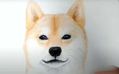 Comment dessiner un chien shiba ?